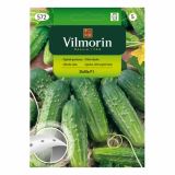 PLODOVKA VILMORIN KUMARA NA TRAKU HELA F1