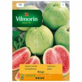 SEMENA VILMORIN LUBENICA BINGO