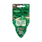 SEMENA VILMORIN SEJALNIK MOTOVILEC ACCENT