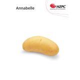 SEMENSKI KROMPIR KIFELJČAR ANNABELLE 2.5 KG