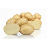 SEMENSKI KROMPIR SEMENARNA DAIFLA SREDNJE ZGODNJA- BELO MESO 5 KG 35-55 MM