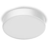 SENZORSKA PLAFONJERA STEINEL RS PRO A30 SC BT MESH 4000K LED BELA