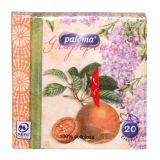 SERVIETE PALOMA STYLE 33X33 CM 20/1 TI1142