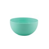 PIKNIK PROGRAM UCSAN PLASTIK SERVIRNA SKLEDA 6 L MINT