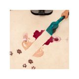 SESALNIK ZA PRŠICE CECOTEC CONGA 6000 CARPET&SPOT CLEAN XL PRO