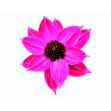 UMETNO CVETJE SEST. CVETJE 3KOS FUKSIJA