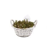 SEZONSKA RASTLINA JAGODASTA HRUŠICA V PLETENI KOŠARICI