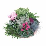 NASAD JESENSKI NASAD L27