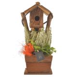 SEZONSKA RASTLINA JESENSKI NASAD V PTIČJI HIŠICI