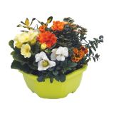 MIX JESENSKIH RASTLIN NASAD L20