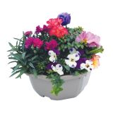 MIX JESENSKIH RASTLIN NASAD L20