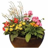 MIX POLETI CVET. RASTLIN POLETNE POSODOVKE MIX L14