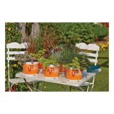 JESENSKI TRIO VOLMARY L19