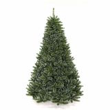 JELKA SIBERIAN SPRUCE 215 CM BOR