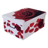 ŠKATLA/ZABOJ MISSSPACE MINI 33X25X16 CM VRTNICA