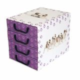 ŠKATLA/ZABOJ MISSSPACE PREDALNIK ZA SHRANJEVANJE S ŠTIRIMI PREDALI