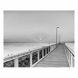 SLIKA BIVA STEKLO MOST 40X50X0.5 CM