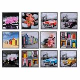 SLIKA BRODNIK DEKORATIVNO PLATNO 50X50 CM SORTIRANO