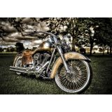 SLIKA CZ MOTOR HARLEY 60 X 90 CM