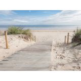 SLIKA CZ PLAŽA 70 X 100 CM