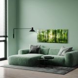 SLIKA STYLER SUNLIGHT STEKLENA 50X125 EX121