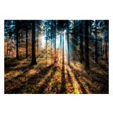 SLIKA STYLER AUTUMN SUNSET STEKLENA 70X100 EX590