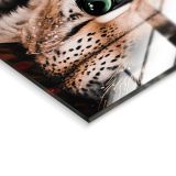 SLIKA STYLER LEO FLOWER STEKLENA 80X120 GL450