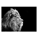 SLIKA STYLER LION SILVER STEKLENA 70X100 GL104