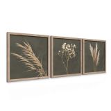 SLIKA STYLER PAMPAS TROJNA Z OKVIRJEM 30X30 FR391
