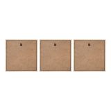 SLIKA STYLER PAMPAS TROJNA Z OKVIRJEM 30X30 FR391