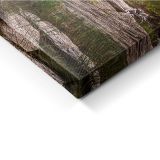 SLIKA STYLER PLATNO ALBERTA PARK 60X150 ST708