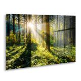 SLIKA STYLER SUNNY FORREST STEKLENA 80X120 GL404