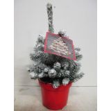 SMREKA BODEČA SUPER BLUE L19 VIŠ 20CM