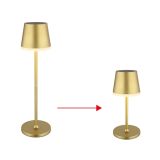 SOLARNA VRTNA SVETILKA GLOBO ZLATA NAMIZNA LED 0.06W IP44 3000K 110X410 MM