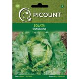 LISTNA ZELENJAVA VILMORIN SOLATA BRASILIANA