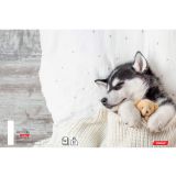 ŠOLSKI ZVEZEK TARGET A4 ČRTAST BREZ ROBA ANIMAL BABY 26416