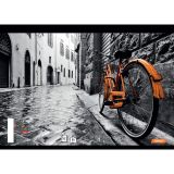 ŠOLSKI ZVEZEK TARGET SPIRALNI A4 KARO COLOR 27884