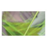 ŠOTOR OUTWELL CLOUD 3