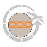 SPALNA VREČA EASY CAMP NEBULA 250 220X80X50 CM