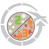 SPALNA VREČA EASY CAMP NEBULA 250 220X80X50 CM