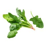 LISTNA ZELENJAVA L'ORTO FRUTTIFERO ŠPINAČA 8/1 REFLECT F1 KULTIPAK