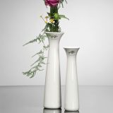 STEKLENA VAZA SANDRA RICH 5.5X20 CM CLASSY