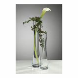 STEKLENA VAZA SANDRA RICH SOLO DIAGO 35X4.5 CM 1/1