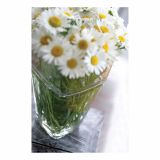 STEKLENA VAZA STEKLARNA HRASTNIK RONDO 13X21 CM