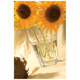 STEKLENA VAZA STEKLARNA HRASTNIK RONDO 13X21 CM