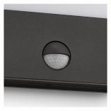 SENZORSKO SVETILO PHILIPS RACCON 1X3W S SENZORJEM ANTRACIT, LED