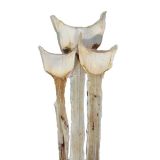 SUHO CVETJE AGAVA SPECIAL BARVANA 3KOS