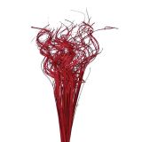 SUHO CVETJE CURLY TING ODPRTI ŠOP