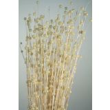 SUHO CVETJE CURLY TING S PERLAMI 20 KOS