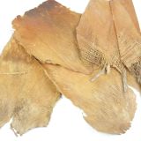 UMETNO CVETJE PALMINA SKORJA BELJENA BARVANA